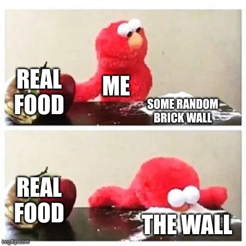 elmo cocaine | REAL FOOD; ME; SOME RANDOM BRICK WALL; REAL FOOD; THE WALL | image tagged in elmo cocaine | made w/ Imgflip meme maker