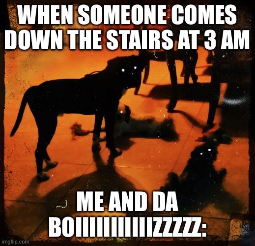 Dark Bark | WHEN SOMEONE COMES DOWN THE STAIRS AT 3 AM; ME AND DA BOIIIIIIIIIIIZZZZZ: | image tagged in dark bark | made w/ Imgflip meme maker