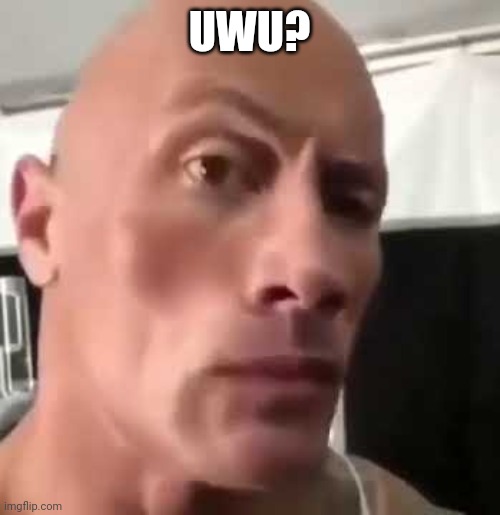 Uwu? | UWU? | image tagged in the rock eyebrows | made w/ Imgflip meme maker