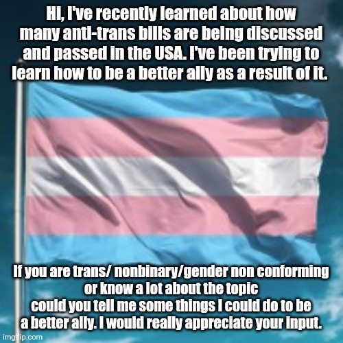 Trans Flag | Hi, I've recently learned about how many anti-trans bills are being discussed and passed in the USA. I've been trying to learn how to be a better ally as a result of it. If you are trans/ nonbinary/gender non conforming
or know a lot about the topic could you tell me some things I could do to be a better ally. I would really appreciate your input. | image tagged in trans flag | made w/ Imgflip meme maker
