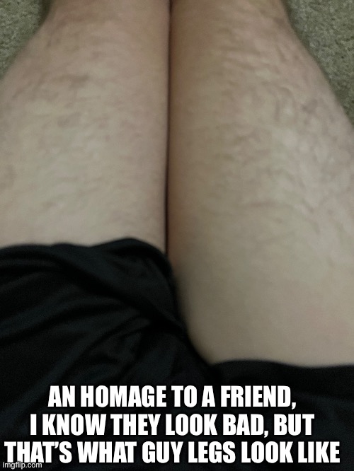 Just because a friend did this too | AN HOMAGE TO A FRIEND, I KNOW THEY LOOK BAD, BUT THAT’S WHAT GUY LEGS LOOK LIKE | made w/ Imgflip meme maker