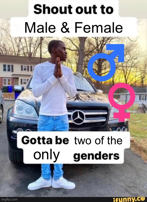 I’m not anti-lgbt or anything, but I’m spittin facts | Male & Female; two of the; only | image tagged in gotta be one of my favorite genders,male,female | made w/ Imgflip meme maker
