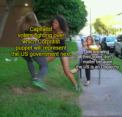 Popcorn Girls Fighting | Capitalist voters fighting over which Corpritist puppet will represent the US government next; Me knowing their votes don't matter because the US is an Oligarchy | image tagged in popcorn girls fighting,capitalism,oligarchy,democrats,republicans | made w/ Imgflip meme maker
