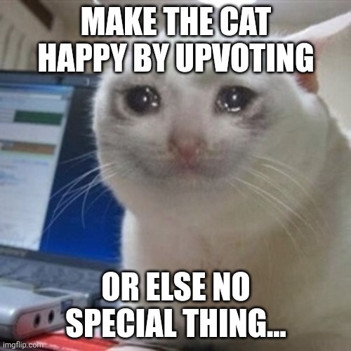 ^•^ | MAKE THE CAT HAPPY BY UPVOTING; OR ELSE NO SPECIAL THING... | image tagged in crying cat | made w/ Imgflip meme maker