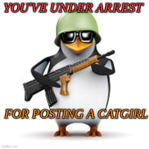 NO CATGIRLS ALLOWED | YOU'VE UNDER ARREST; FOR POSTING A CATGIRL | image tagged in no anime penguin | made w/ Imgflip meme maker