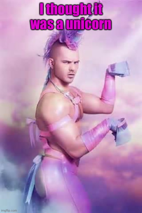 Gay Unicorn | I thought it was a unicorn | image tagged in gay unicorn | made w/ Imgflip meme maker