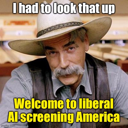 SARCASM COWBOY | I had to look that up Welcome to liberal AI screening America | image tagged in sarcasm cowboy | made w/ Imgflip meme maker