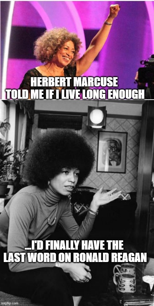 HERBERT MARCUSE 
TOLD ME IF I LIVE LONG ENOUGH ...I'D FINALLY HAVE THE 
LAST WORD ON RONALD REAGAN | image tagged in angela davis activist,angela davis | made w/ Imgflip meme maker