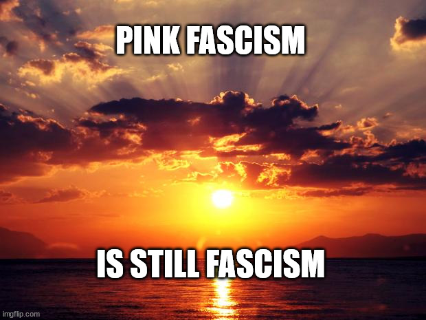 Sunset | PINK FASCISM; IS STILL FASCISM | image tagged in sunset | made w/ Imgflip meme maker