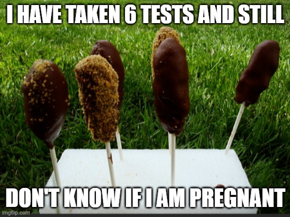 prego | I HAVE TAKEN 6 TESTS AND STILL; DON'T KNOW IF I AM PREGNANT | image tagged in pregnancy test,transgender,transphobic,tired of hearing about transgenders | made w/ Imgflip meme maker