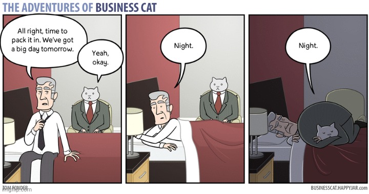 The Adventures of Business Cat #29 | made w/ Imgflip meme maker