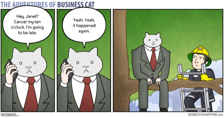 The Adventures of Business Cat #26 | made w/ Imgflip meme maker