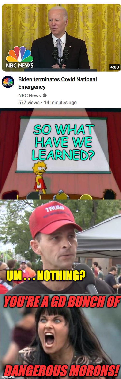 And I can't like you anymore. | SO WHAT HAVE WE LEARNED? UM . . . NOTHING? YOU'RE A GD BUNCH OF
 
 
 
 
DANGEROUS MORONS! | image tagged in lisa simpson's presentation,trump supporter,angry xena,memes | made w/ Imgflip meme maker