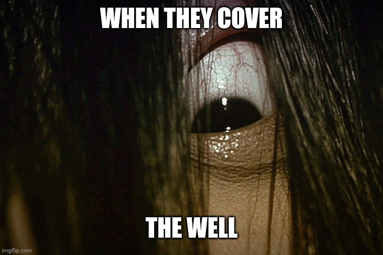 Sadako | WHEN THEY COVER THE WELL | image tagged in sadako | made w/ Imgflip meme maker