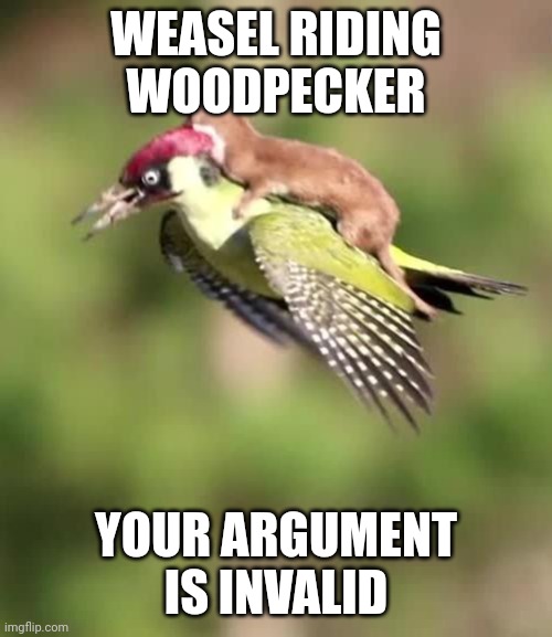 Weasel Riding A Woodpecker | WEASEL RIDING WOODPECKER; YOUR ARGUMENT IS INVALID | image tagged in weasel riding a woodpecker | made w/ Imgflip meme maker