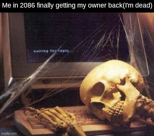 Dead Skeleton | Me in 2086 finally getting my owner back(I'm dead) | image tagged in dead skeleton | made w/ Imgflip meme maker