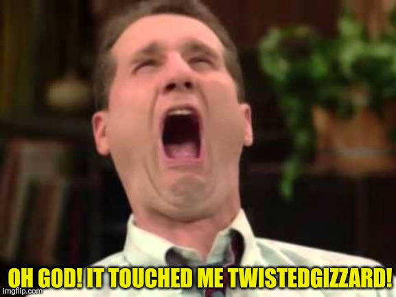 OH GOD! IT TOUCHED ME TWISTEDGIZZARD! | made w/ Imgflip meme maker