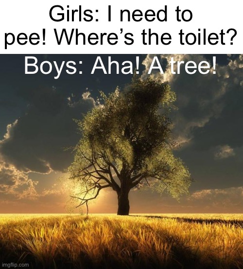 If you know, you know. | Girls: I need to pee! Where’s the toilet? Boys: Aha! A tree! | image tagged in tree of life | made w/ Imgflip meme maker