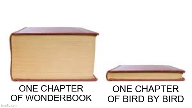 Meme for my creative writing class | ONE CHAPTER OF BIRD BY BIRD; ONE CHAPTER OF WONDERBOOK | image tagged in big book small book | made w/ Imgflip meme maker