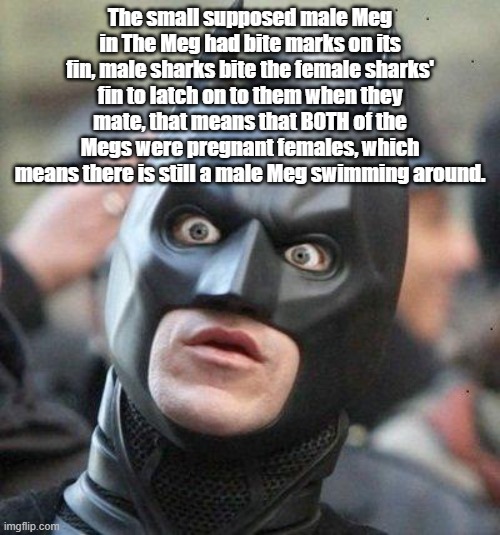 The Meg | The small supposed male Meg in The Meg had bite marks on its fin, male sharks bite the female sharks' fin to latch on to them when they mate, that means that BOTH of the Megs were pregnant females, which means there is still a male Meg swimming around. | image tagged in shocked batman,sharks,movies | made w/ Imgflip meme maker