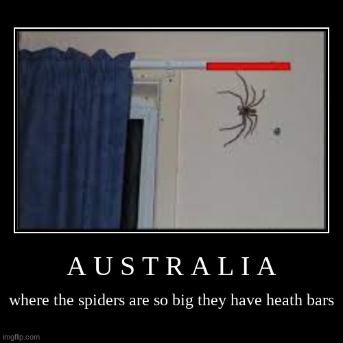 image tagged in funny,demotivationals,australia,wtf,memes,stop reading the tags | made w/ Imgflip demotivational maker
