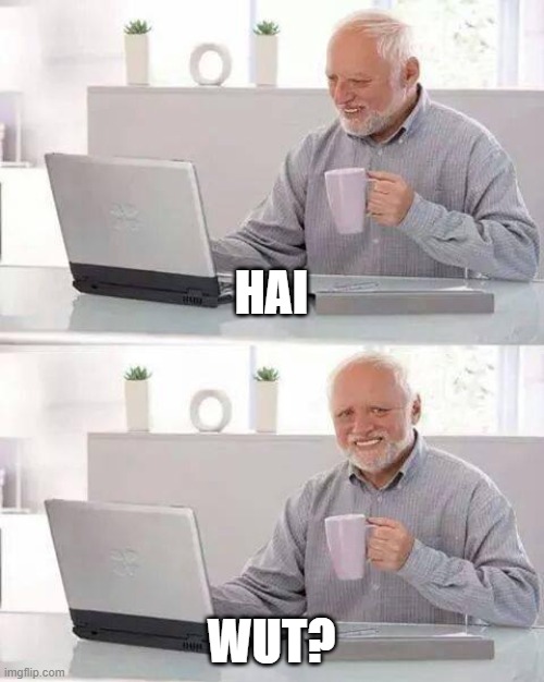 Hai and Wut? | HAI; WUT? | image tagged in memes,hide the pain harold | made w/ Imgflip meme maker