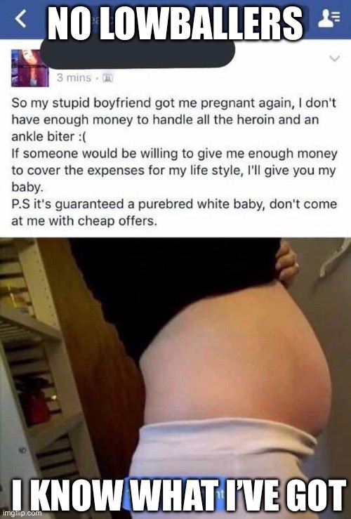 Well… could it possibly be worse? | NO LOWBALLERS; I KNOW WHAT I’VE GOT | image tagged in pregnant,baby found in dumpster,for sale | made w/ Imgflip meme maker