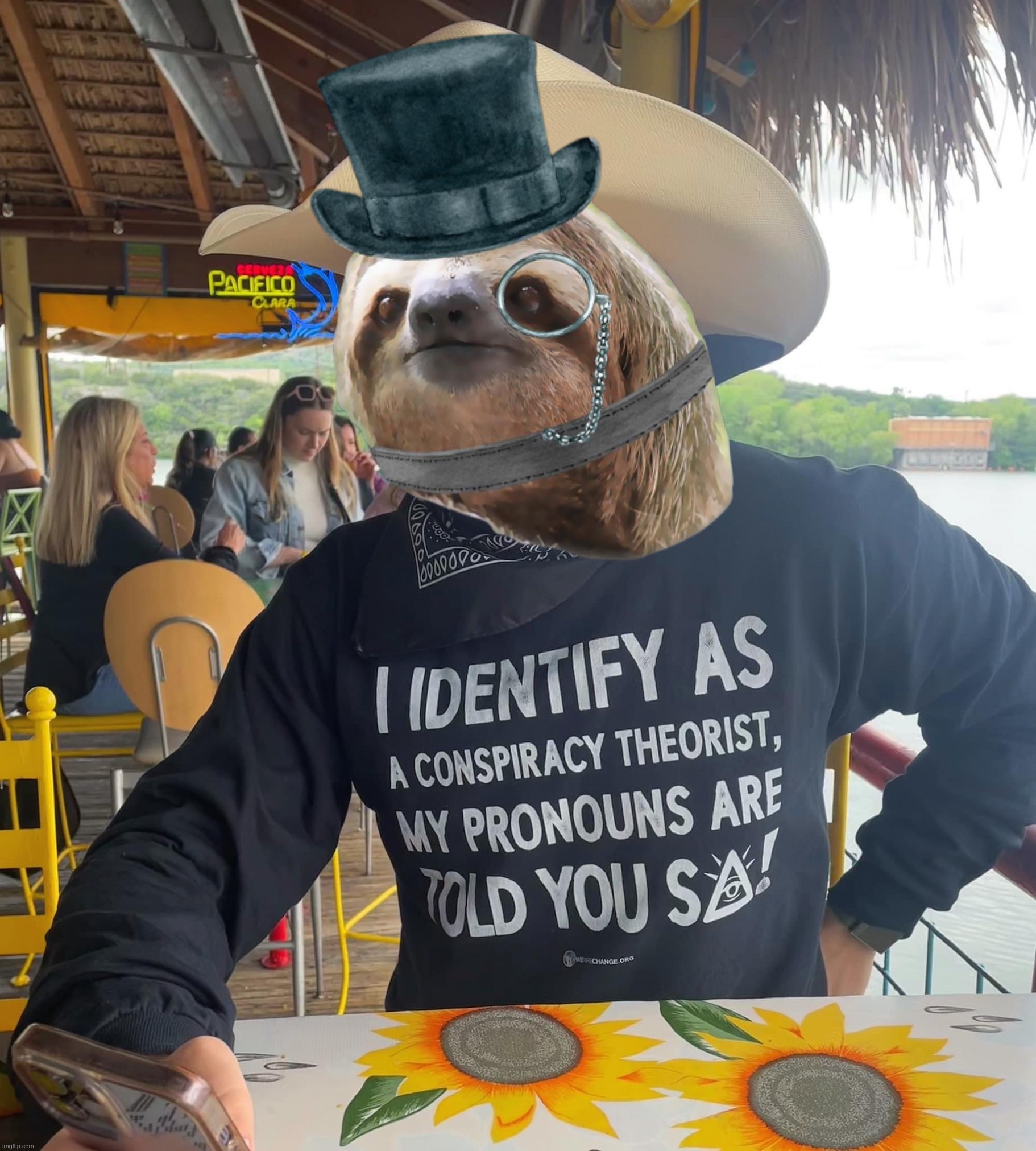 Sloth I identify as a conspiracy theorist Blank Meme Template