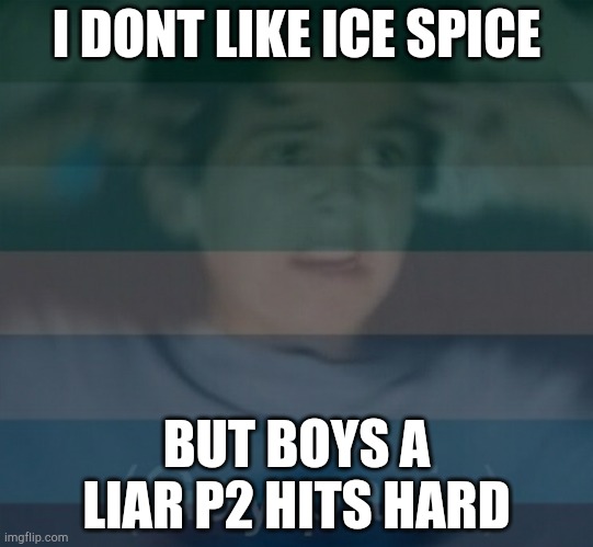 stpry of my life | I DONT LIKE ICE SPICE; BUT BOYS A LIAR P2 HITS HARD | image tagged in gay panik | made w/ Imgflip meme maker