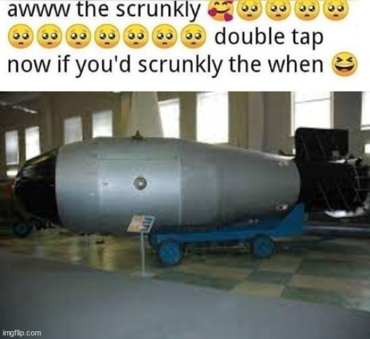 image tagged in aww the scrunkly,tsar bomba | made w/ Imgflip meme maker