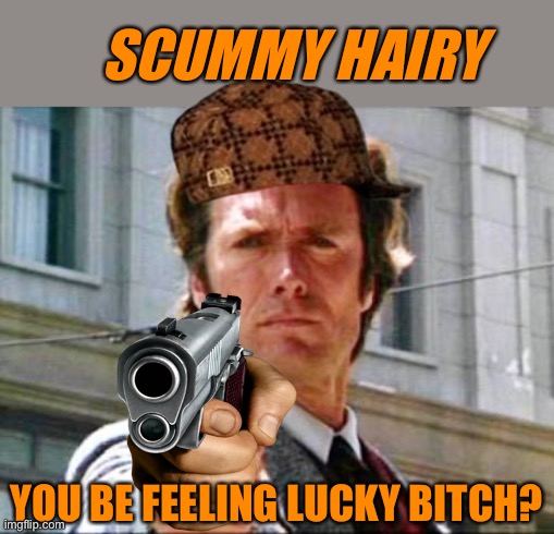 Dirty harry | SCUMMY HAIRY; YOU BE FEELING LUCKY BITCH? | image tagged in dirty harry | made w/ Imgflip meme maker