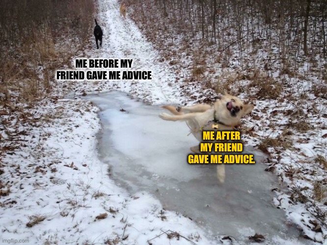 Dog Sliding while Black dog walks | ME BEFORE MY FRIEND GAVE ME ADVICE; ME AFTER MY FRIEND GAVE ME ADVICE. | image tagged in dog sliding while black dog walks | made w/ Imgflip meme maker