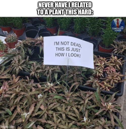 NEVER HAVE I RELATED TO A PLANT THIS HARD: | image tagged in funny,memes,dark humor,relatable,plants,goofy memes | made w/ Imgflip meme maker