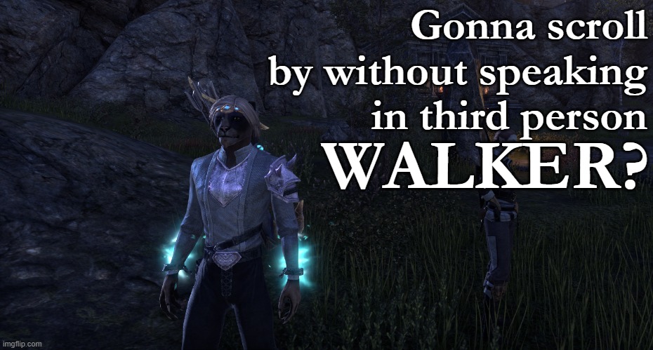 Gonna scroll by without speaking in third person, walker? | Gonna scroll by without speaking in third person; WALKER? | image tagged in jokes,elder scrolls | made w/ Imgflip meme maker