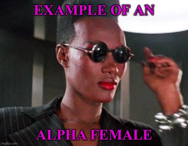 EXAMPLE OF AN ALPHA FEMALE | EXAMPLE OF AN; ALPHA FEMALE | image tagged in bond girl grace jones | made w/ Imgflip meme maker
