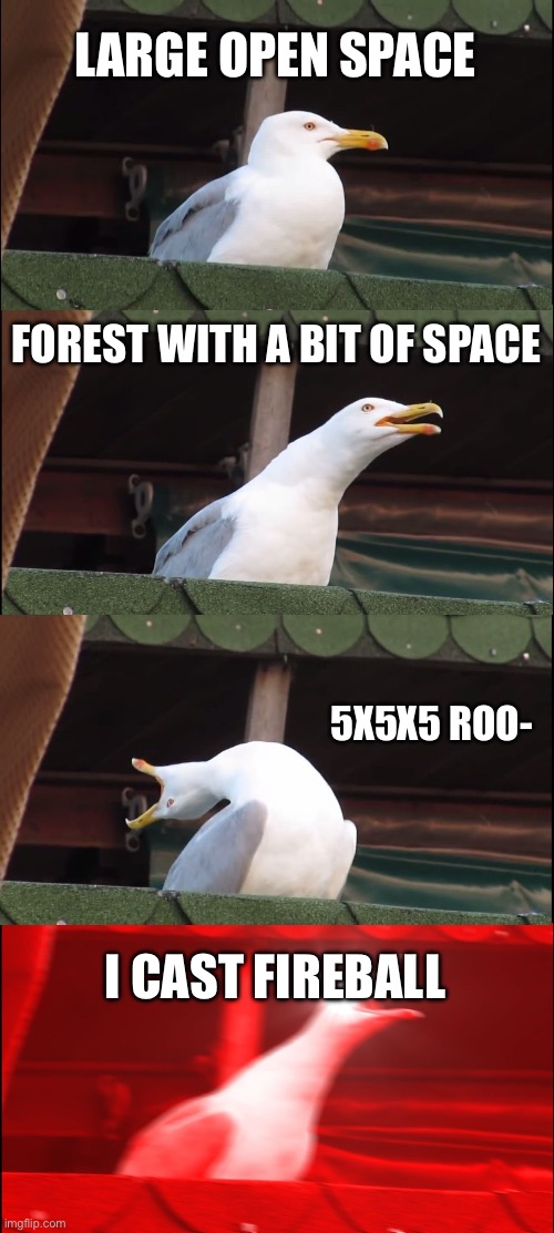 Inhaling Seagull | LARGE OPEN SPACE; FOREST WITH A BIT OF SPACE; 5X5X5 ROO-; I CAST FIREBALL | image tagged in memes,inhaling seagull | made w/ Imgflip meme maker