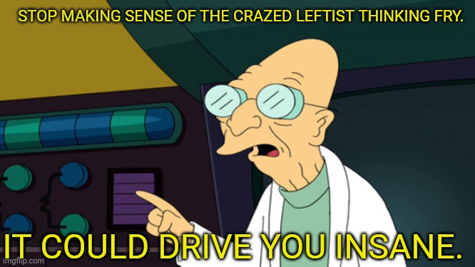 STOP MAKING SENSE OF THE CRAZED LEFTIST THINKING FRY. IT COULD DRIVE YOU INSANE. | made w/ Imgflip meme maker