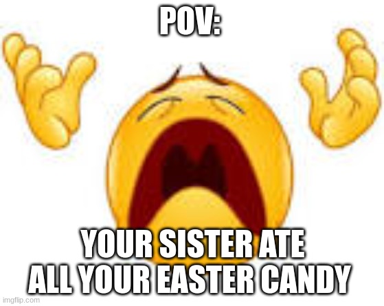 I was so mad.. | POV:; YOUR SISTER ATE ALL YOUR EASTER CANDY | image tagged in easter,sad,mad,memes | made w/ Imgflip meme maker