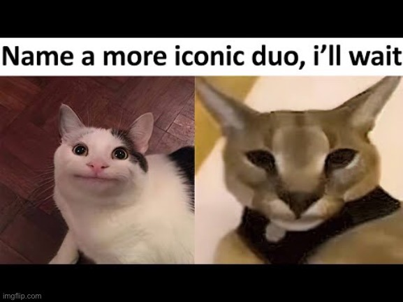 . | image tagged in memes | made w/ Imgflip meme maker