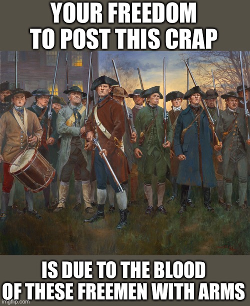 revolutionary militia | YOUR FREEDOM TO POST THIS CRAP IS DUE TO THE BLOOD OF THESE FREEMEN WITH ARMS | image tagged in revolutionary militia | made w/ Imgflip meme maker