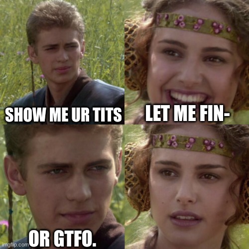 Show me ur tits or gtfo. | SHOW ME UR TITS; LET ME FIN-; OR GTFO. | image tagged in meme | made w/ Imgflip meme maker