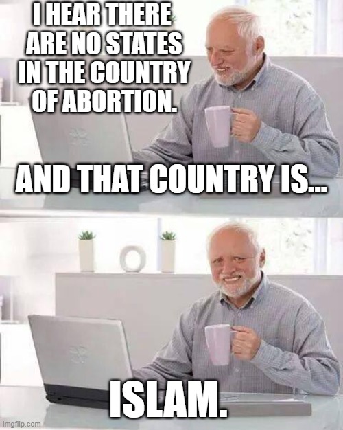 Shat's the best abortion country? | I HEAR THERE
 ARE NO STATES
 IN THE COUNTRY
 OF ABORTION. AND THAT COUNTRY IS... ISLAM. | image tagged in memes,hide the pain harold,abortion,united states of america,country,islam | made w/ Imgflip meme maker