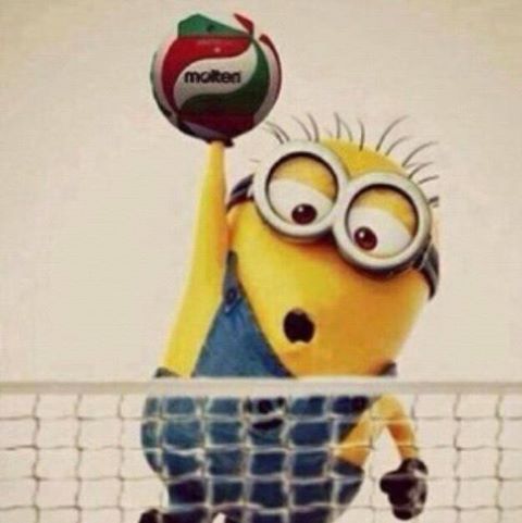 High Quality Minion volleyball Blank Meme Template