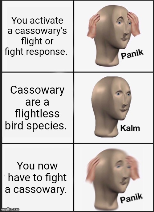 Panik Kalm Panik | You activate a cassowary's flight or fight response. Cassowary are a flightless bird species. You now have to fight a cassowary. | image tagged in memes,panik kalm panik | made w/ Imgflip meme maker