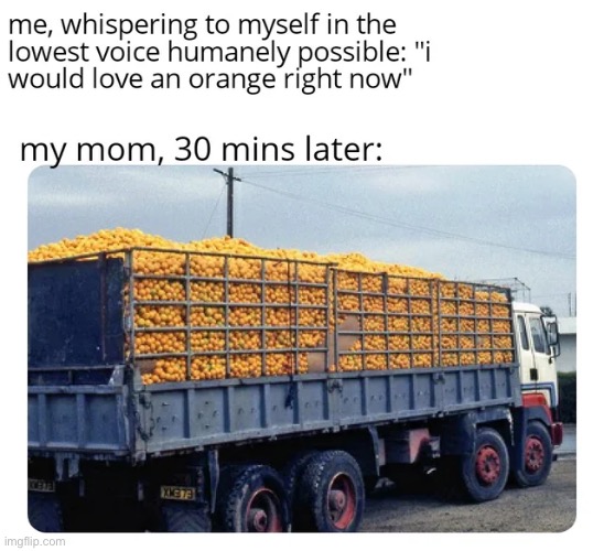 image tagged in wholesome | made w/ Imgflip meme maker
