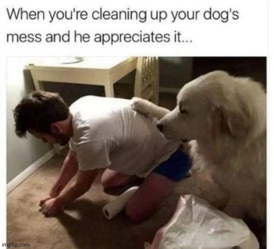 image tagged in wholesome | made w/ Imgflip meme maker