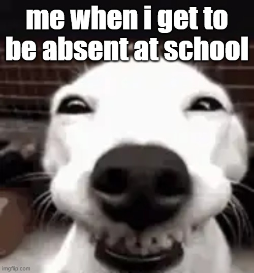 true | me when i get to be absent at school | image tagged in so true memes | made w/ Imgflip meme maker