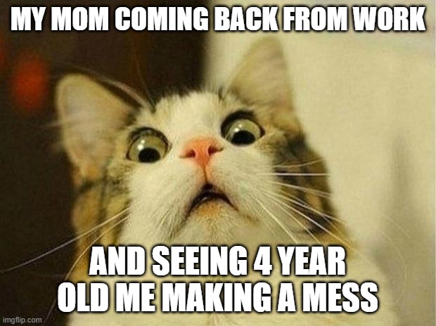 Scared Cat Meme | MY MOM COMING BACK FROM WORK; AND SEEING 4 YEAR OLD ME MAKING A MESS | image tagged in memes,scared cat | made w/ Imgflip meme maker