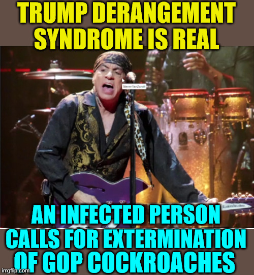 Trump derangement syndrome is real...  It's a dangerous sickness... | TRUMP DERANGEMENT SYNDROME IS REAL; AN INFECTED PERSON CALLS FOR EXTERMINATION; OF GOP COCKROACHES | image tagged in tds,mental illness | made w/ Imgflip meme maker