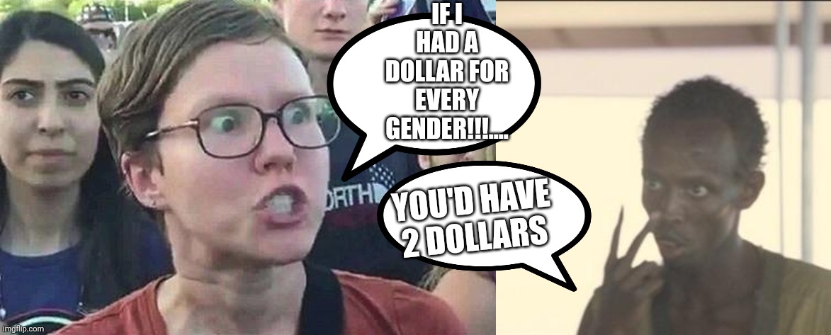 IF I HAD A DOLLAR FOR EVERY GENDER!!!.... YOU'D HAVE 2 DOLLARS | image tagged in triggered liberal,memes,look at me | made w/ Imgflip meme maker